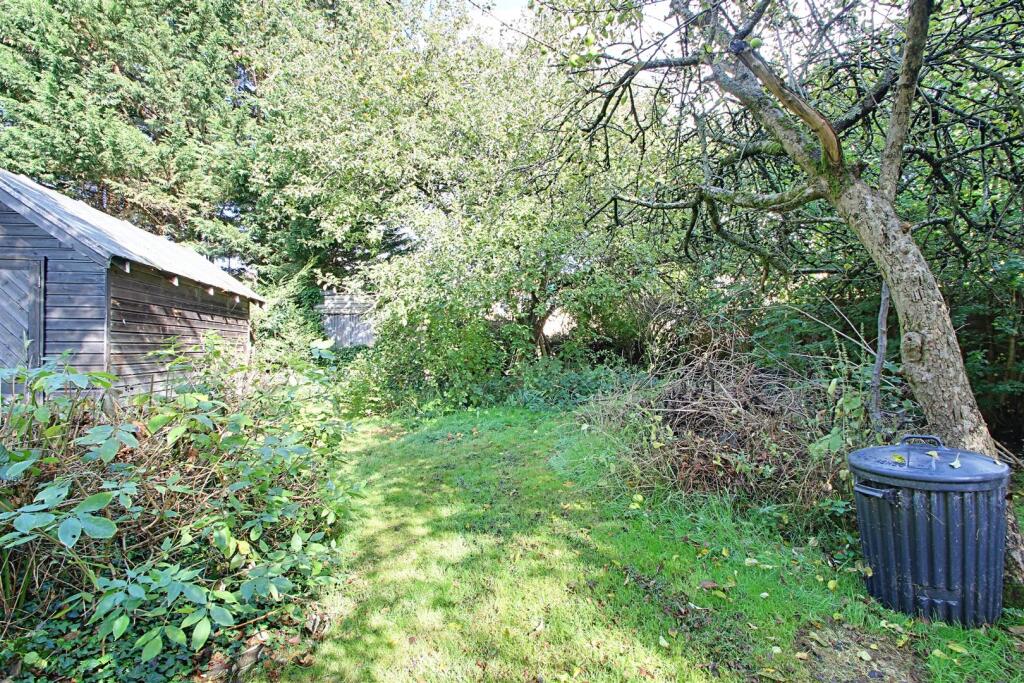 Garden 3.jpg