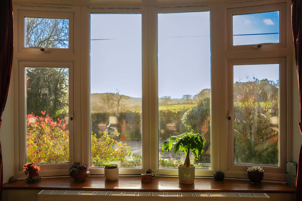 Lounge View