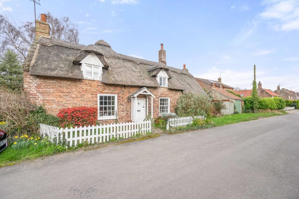 Thatch 1 T202504041224.jpg