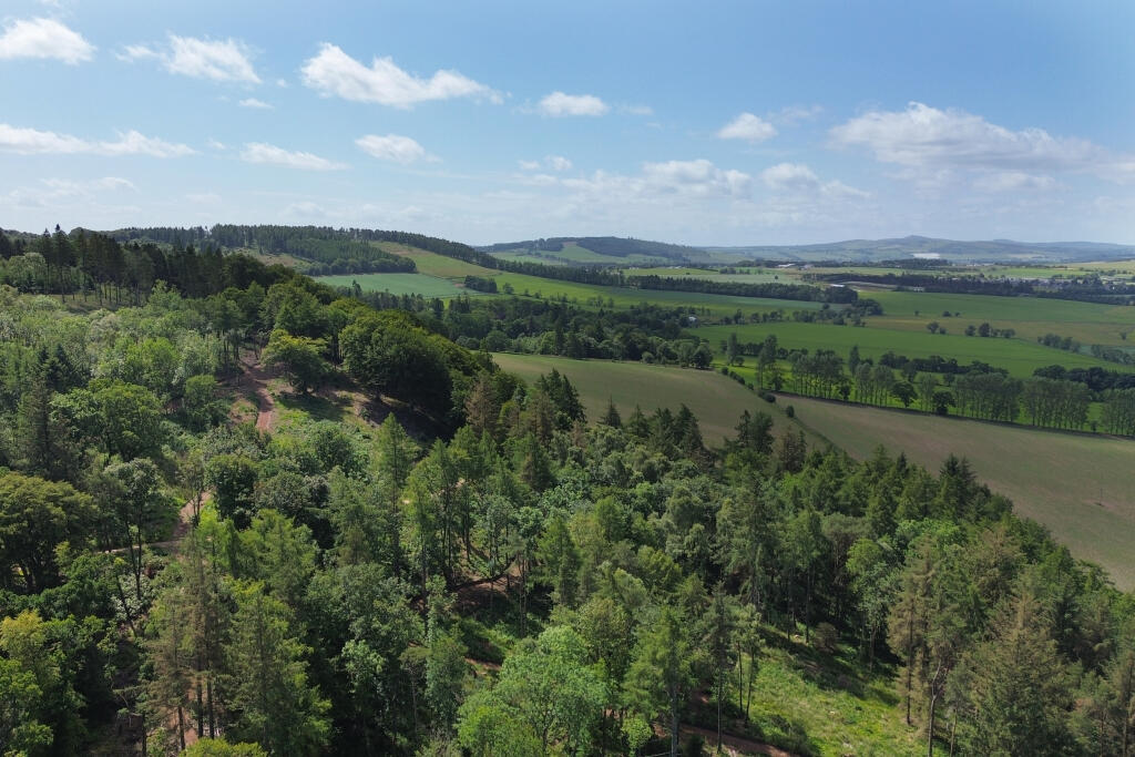 View Of The Surroundings