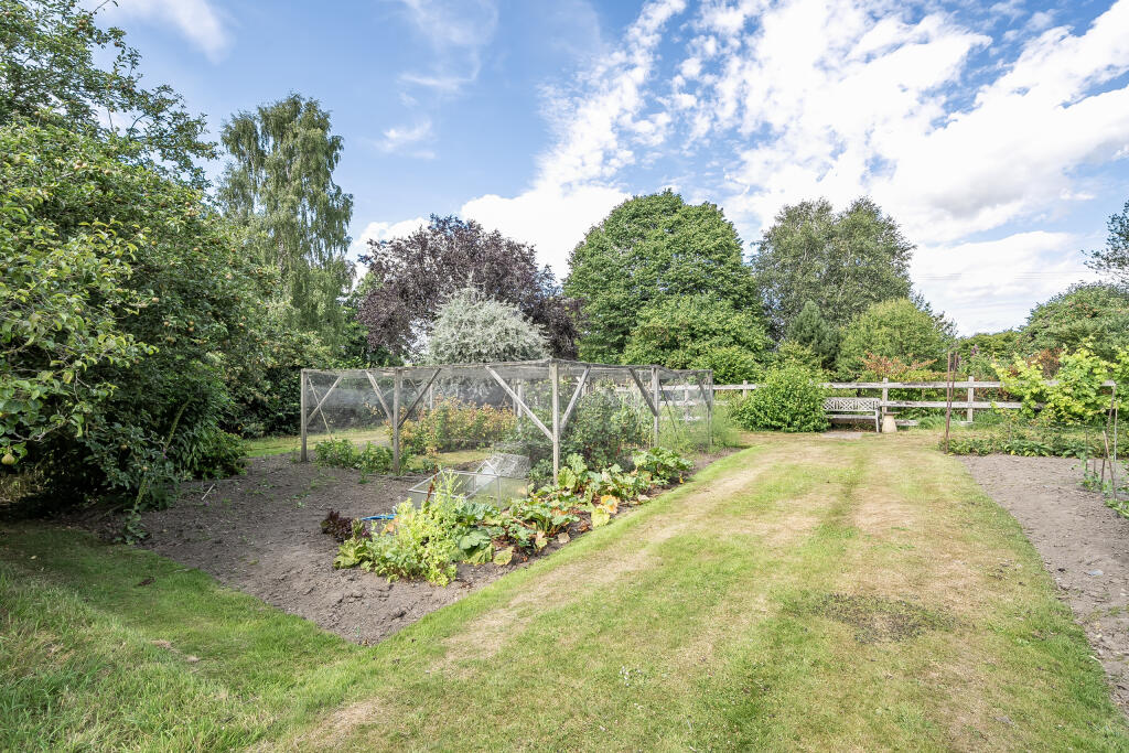 1316505-5-686eb8f660a37