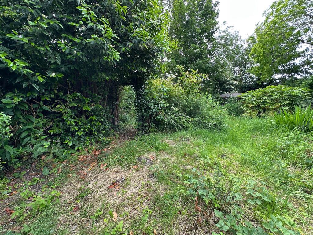 Garden 2 T202506011436.jpg