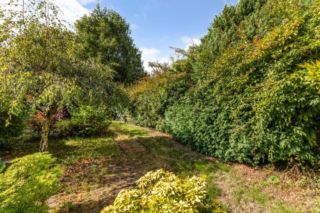 97851_2-Woodbine-...