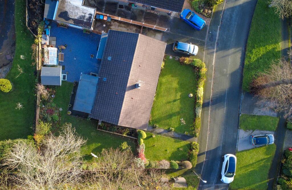 DJI_0427.jpg