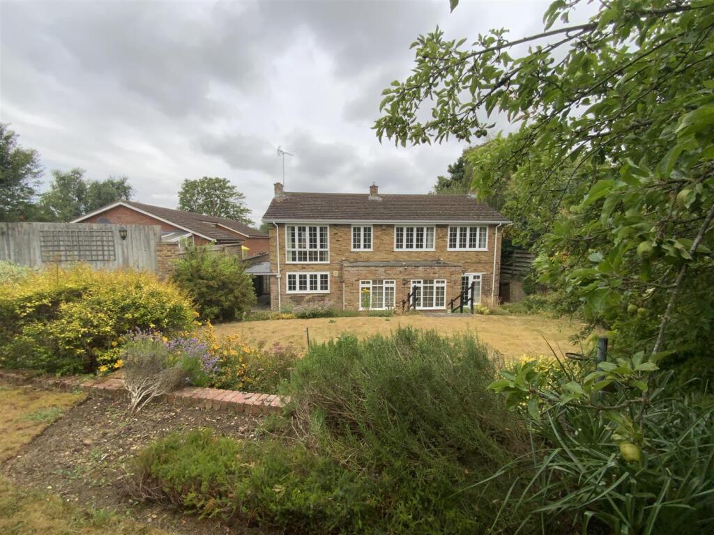 Rear Elevation