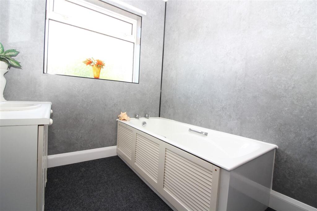 IMG 5397  Medium  T202505231306.jpg