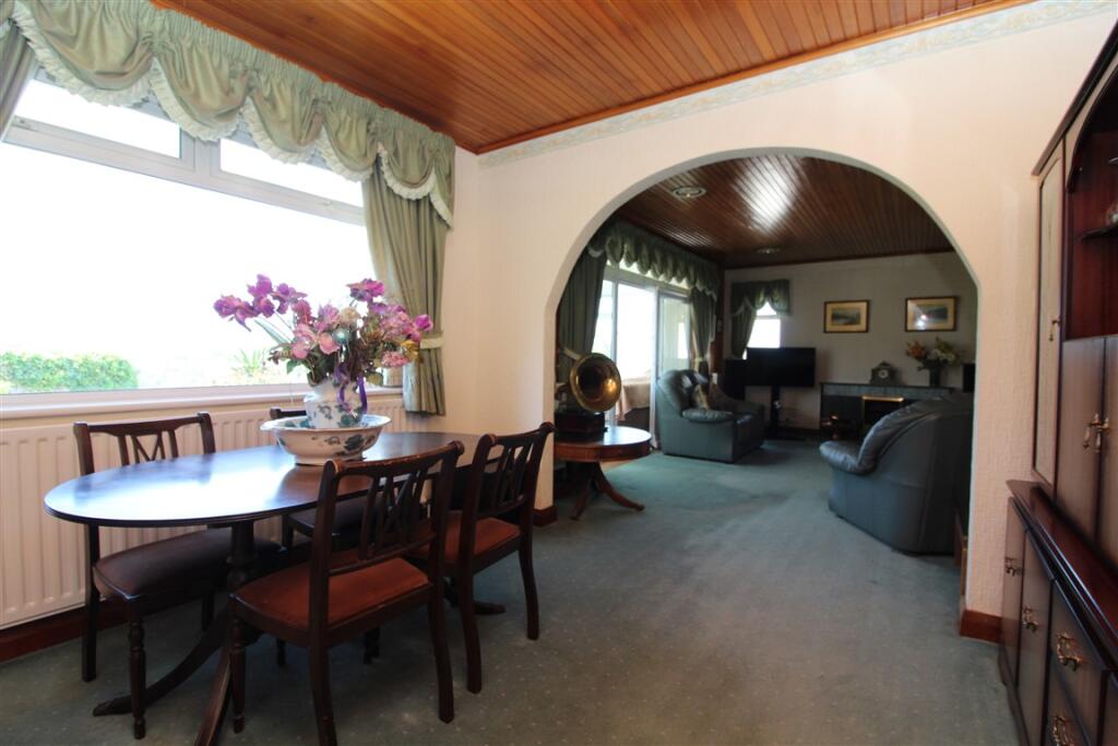 IMG 5372  Medium  T202505231306.jpg