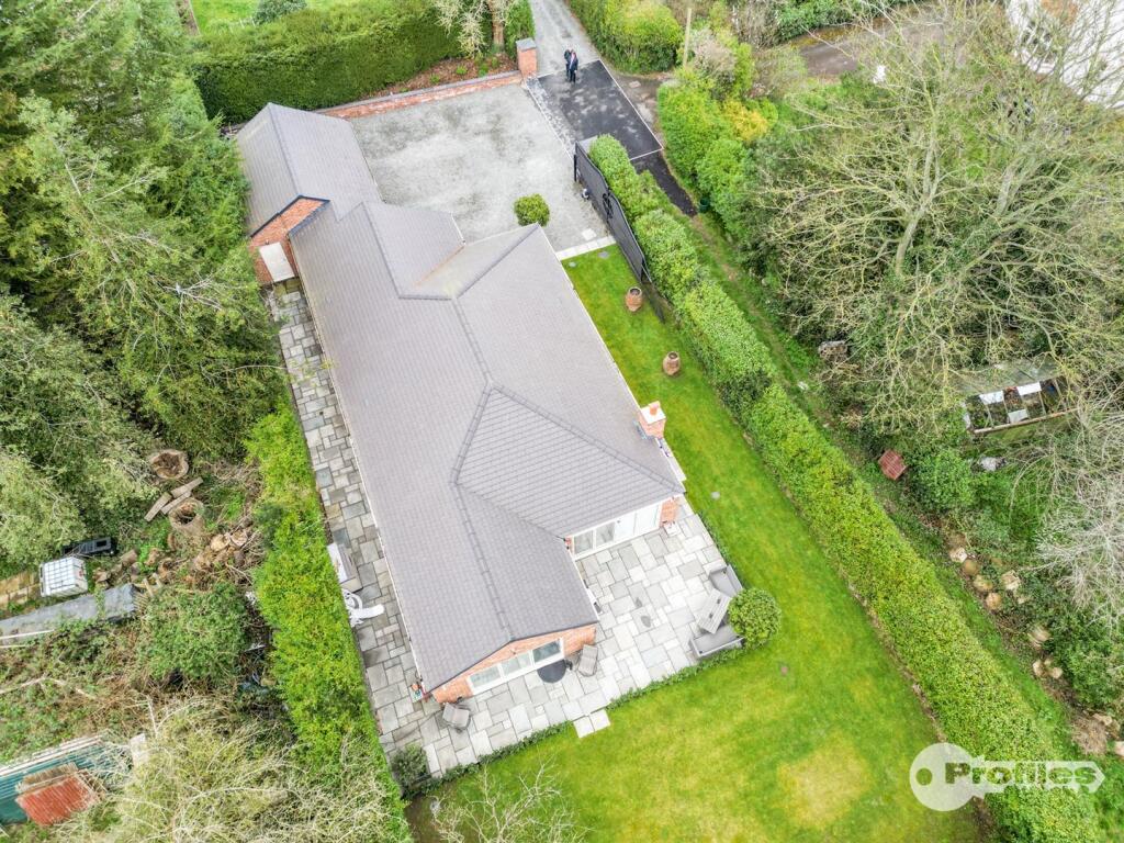 DJI_0606.jpg