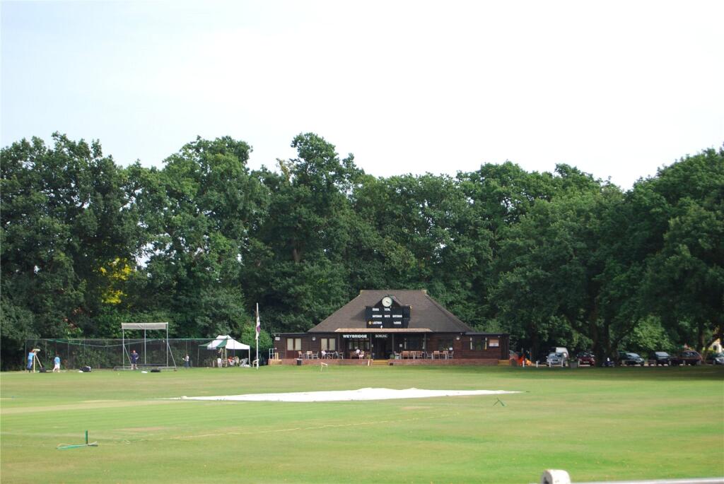 Picture No. 16