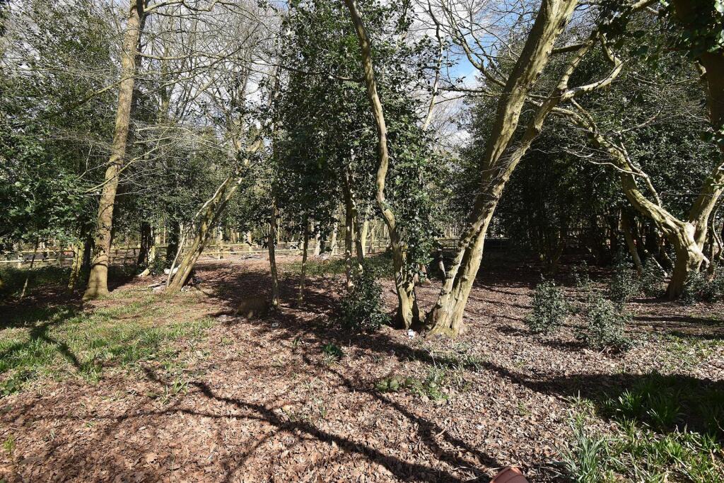 Grounds3.JPG