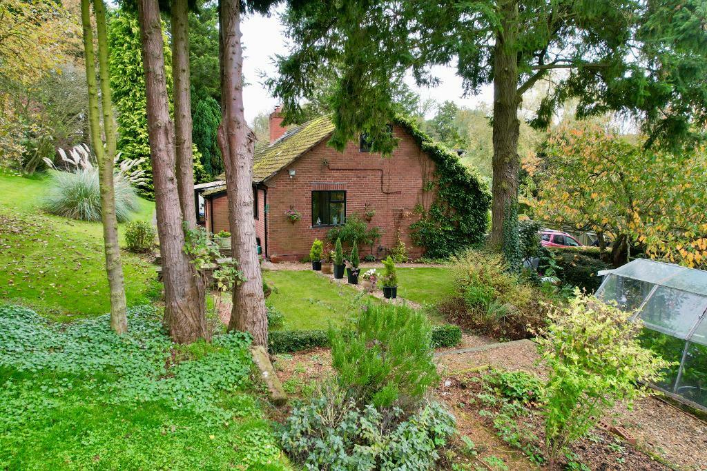 Woodland garden
