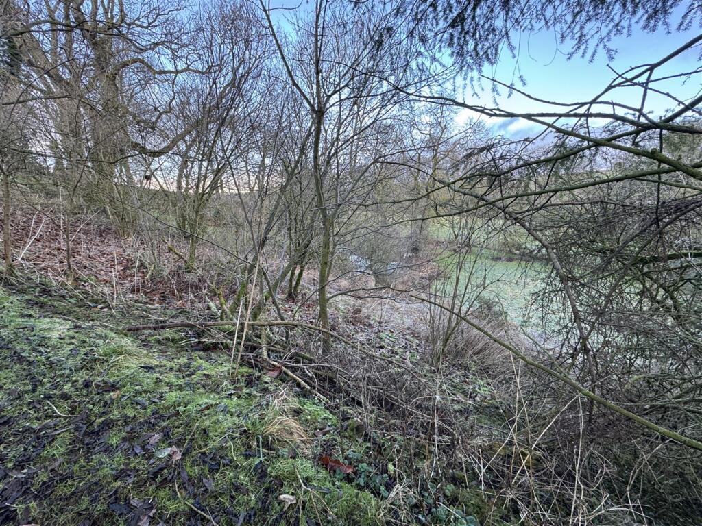 IMG_4360.jpeg