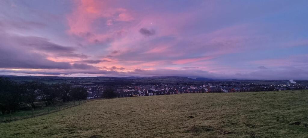 Cold Springs Community Nature Reserve