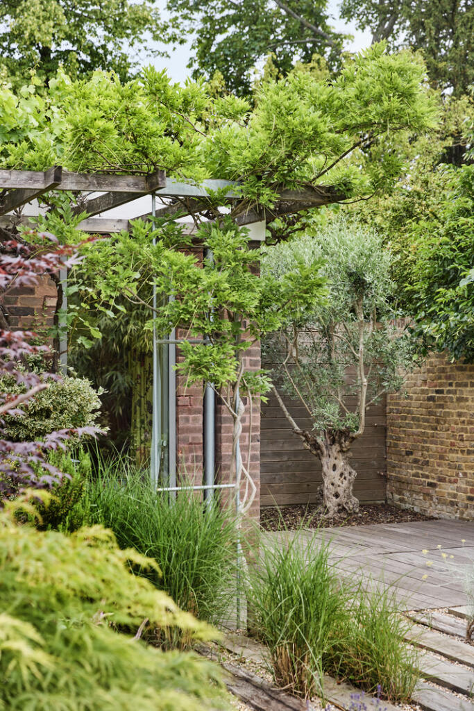 292480 - DGLA1740.jpg