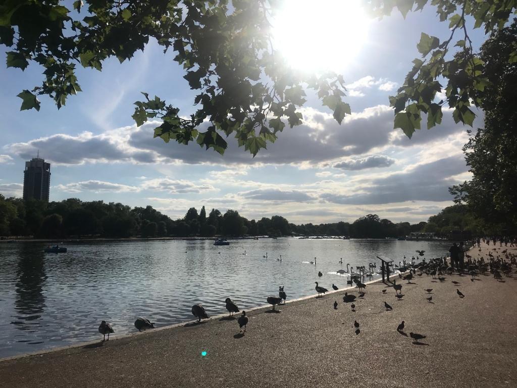 Hyde Park
