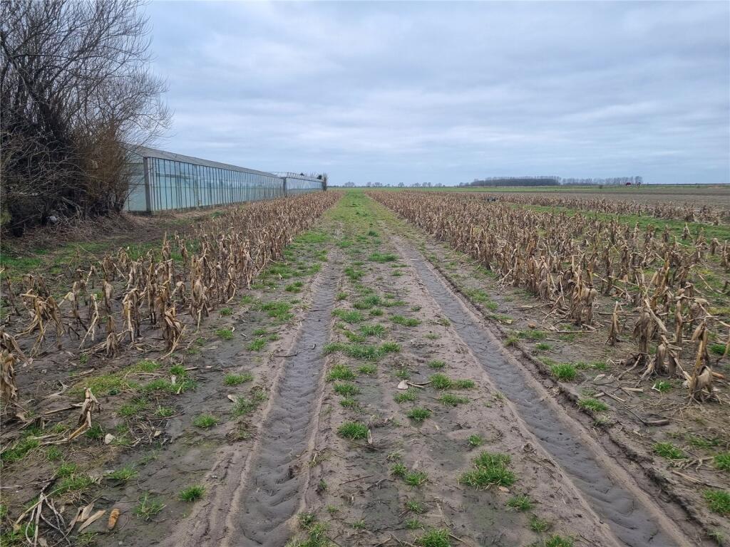 Land Off Guide Road