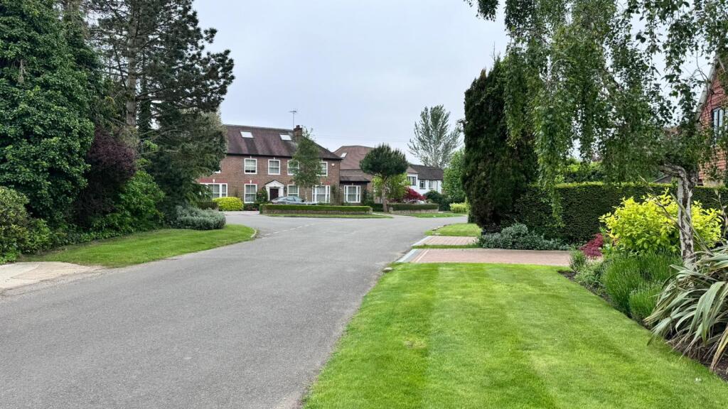 WhatsApp Image 2024-05-18 at 10.42.53.jpeg