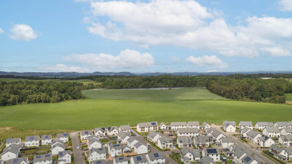 View Of The Surroundings