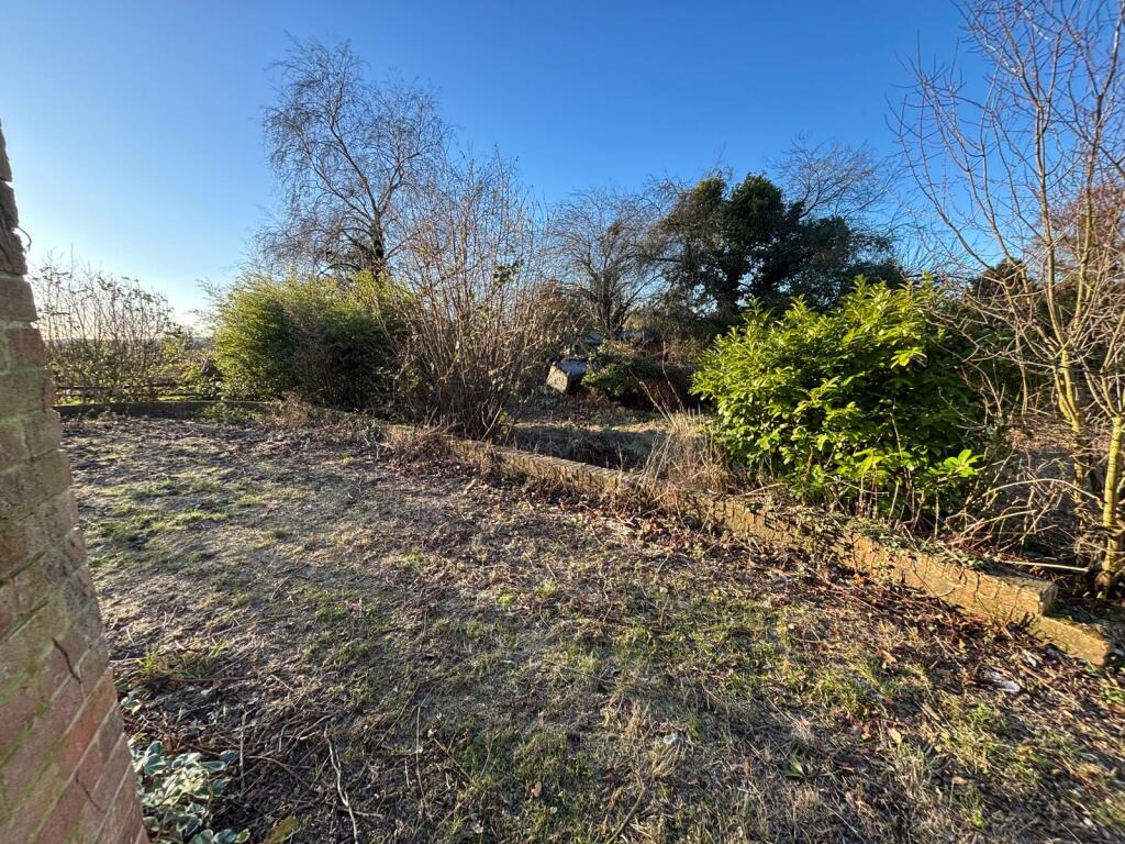 WhatsApp Image 2026-01-05 At 11.14.56 T202601051235.jpeg