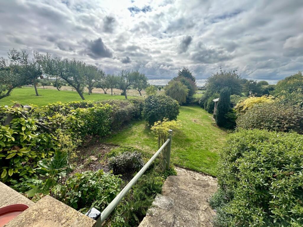 Back Garden
