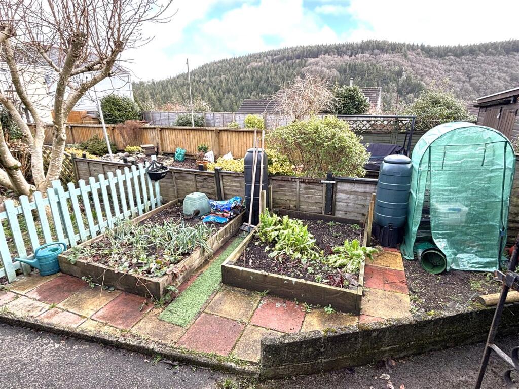 Vegetable Patch.jpeg