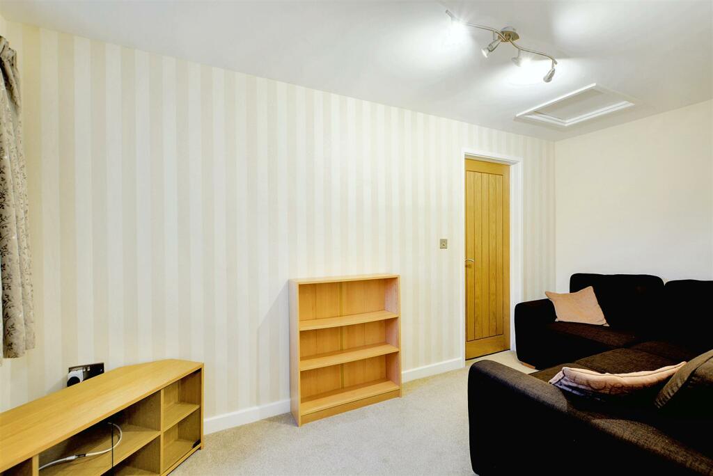 Snug_1.jpeg