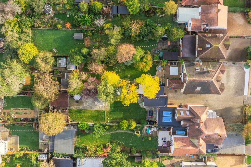 Aerial Shot