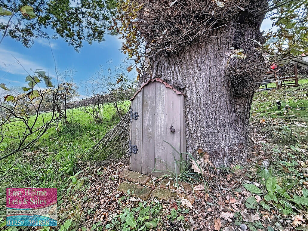 Fairy Door