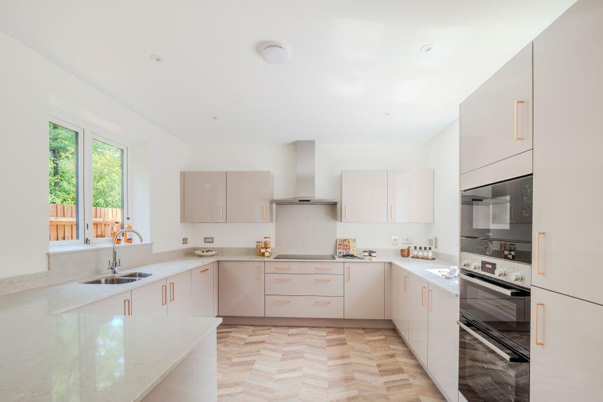 Woodlands P12 internals 13