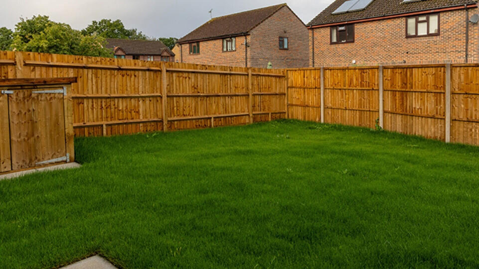 Plot image