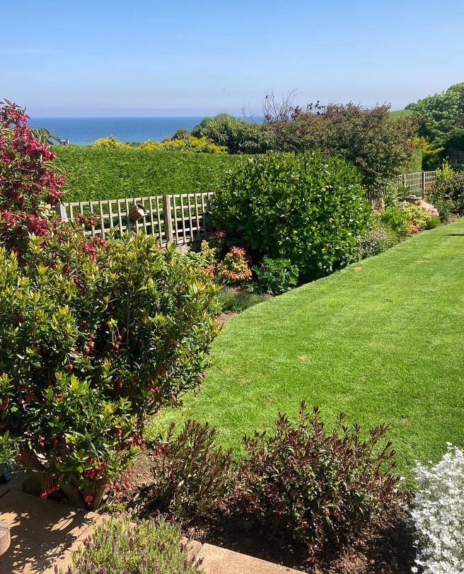 Part of rear garden