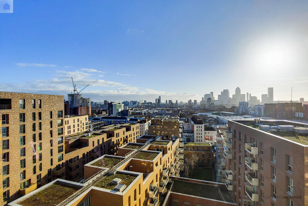 IVY POINT VIEW