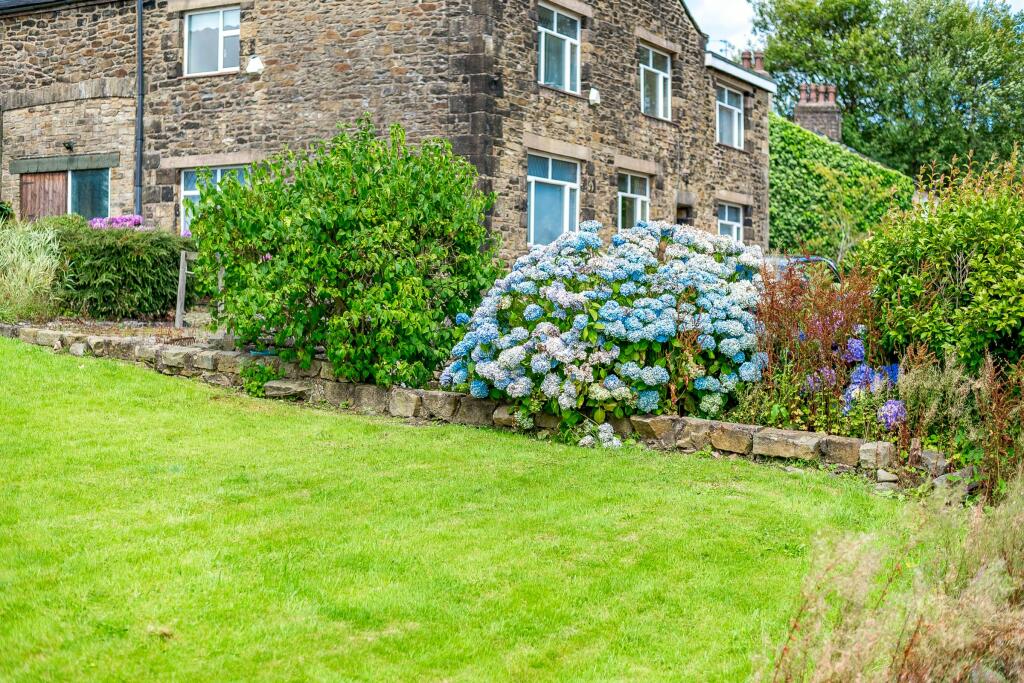 Side Garden