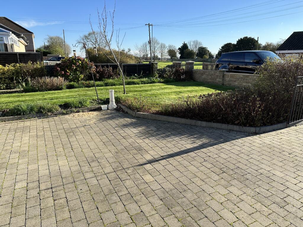 Garden 4.JPG