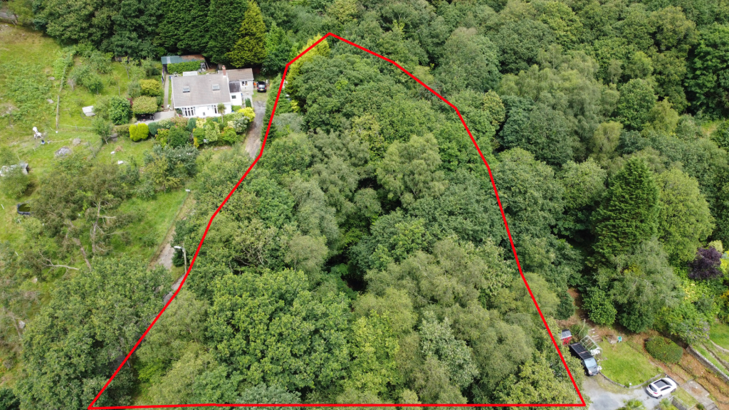 Boundary outline
