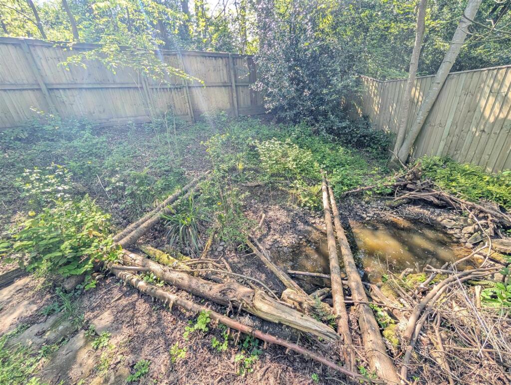Pond.jpg