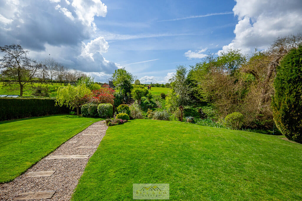 Back garden 1.4