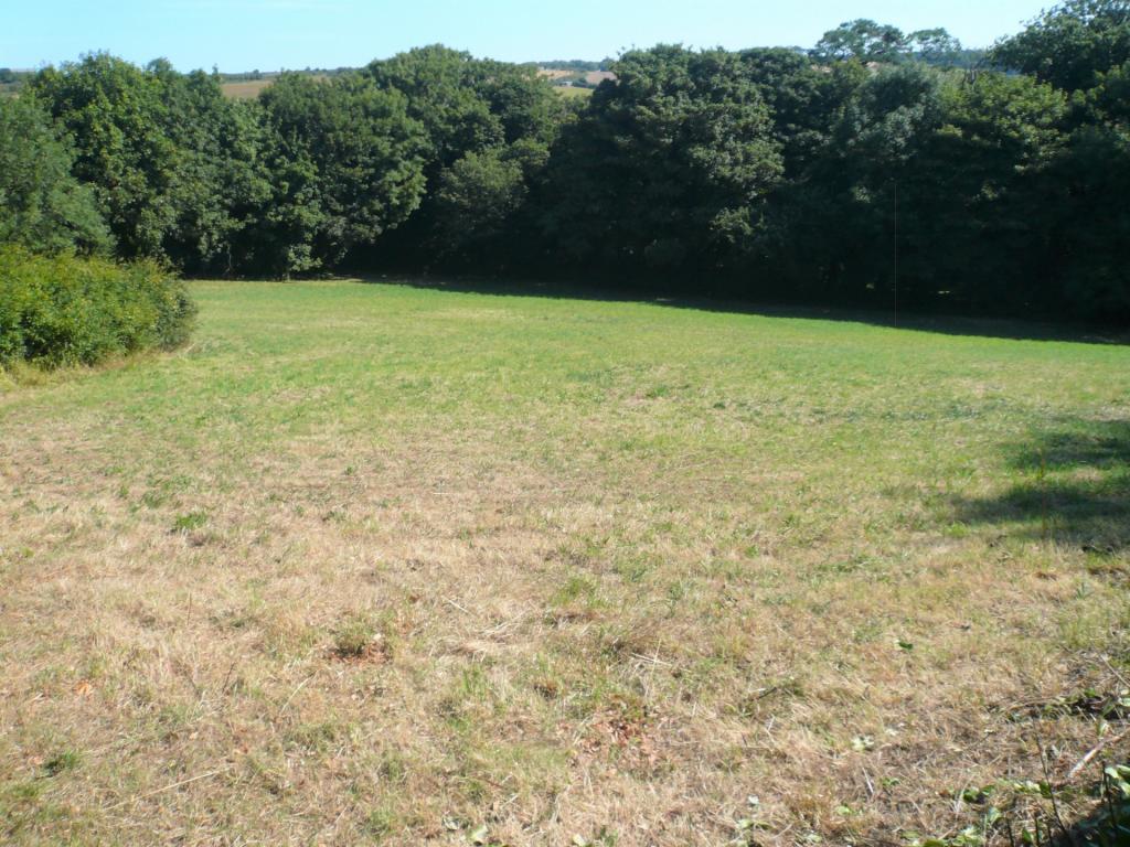 Pastureland