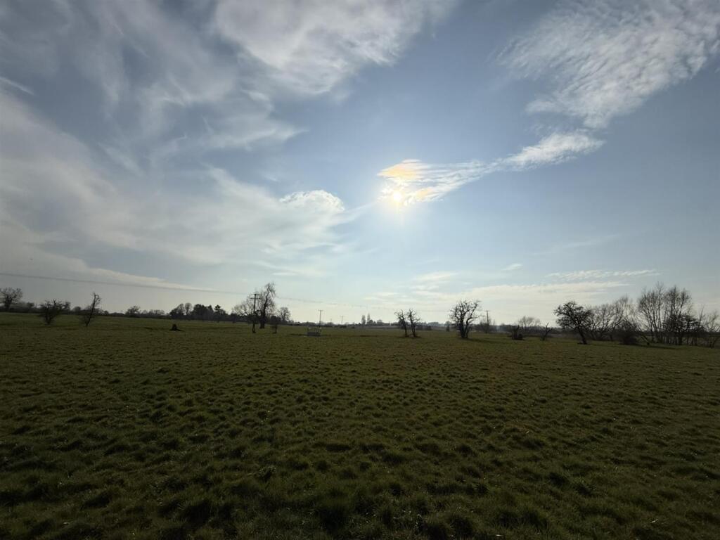 IMG_0295.JPEG