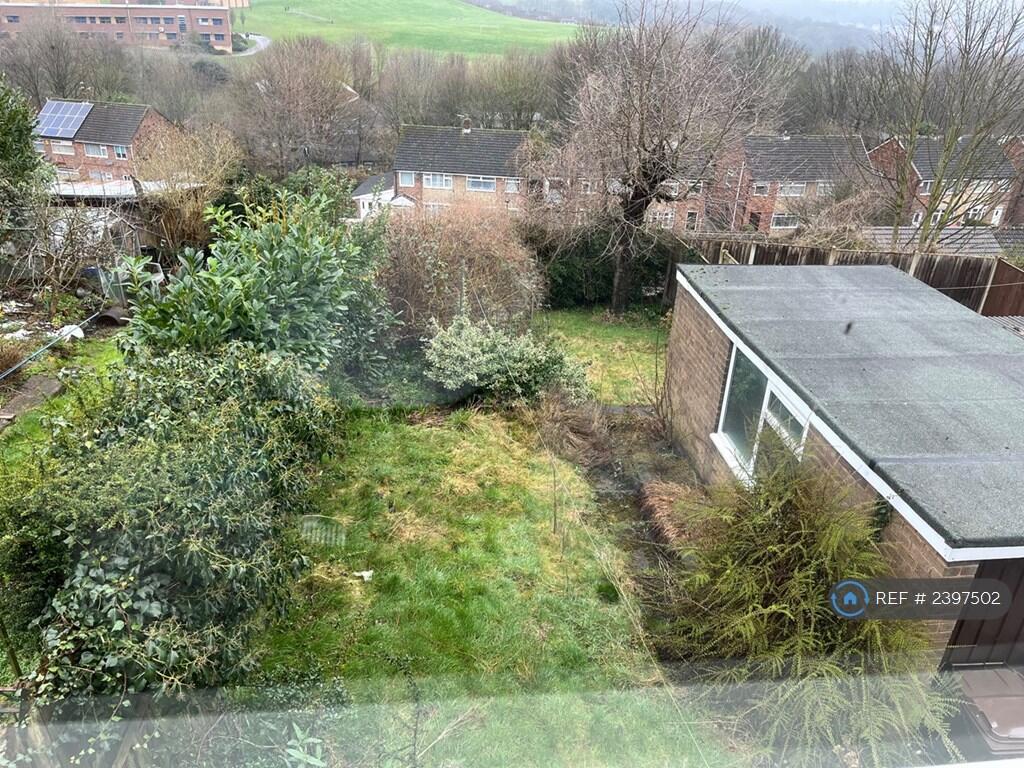 Back Garden 1