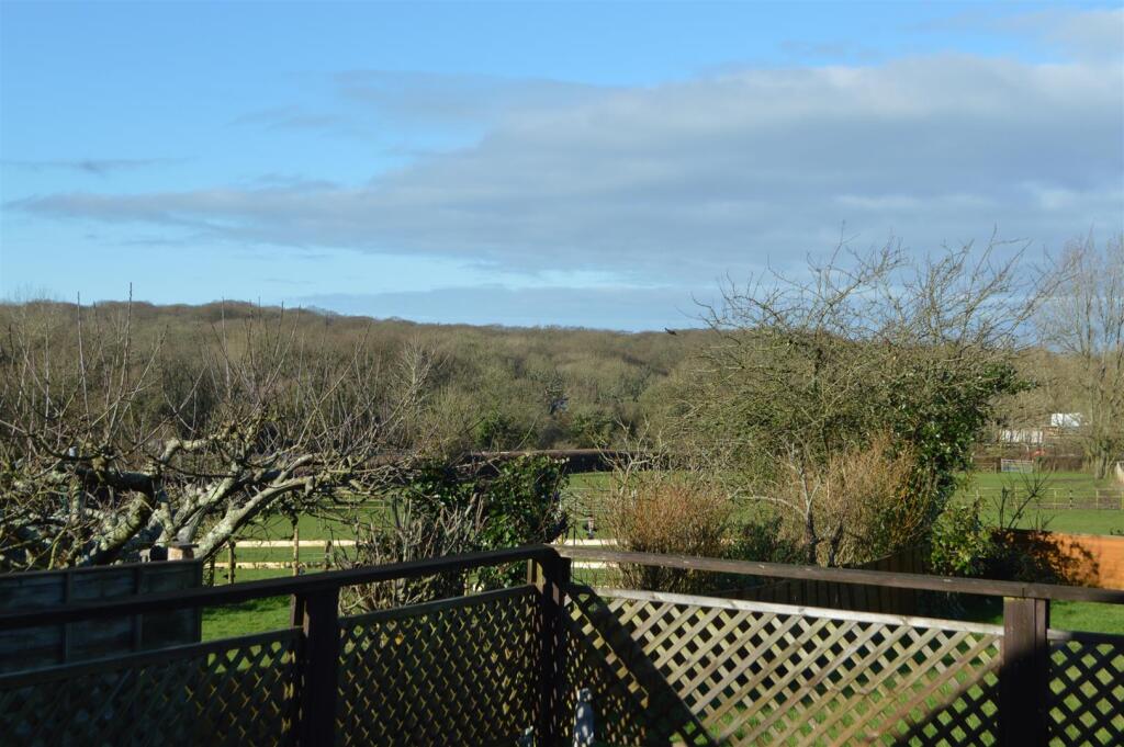 DSC_1545.JPG