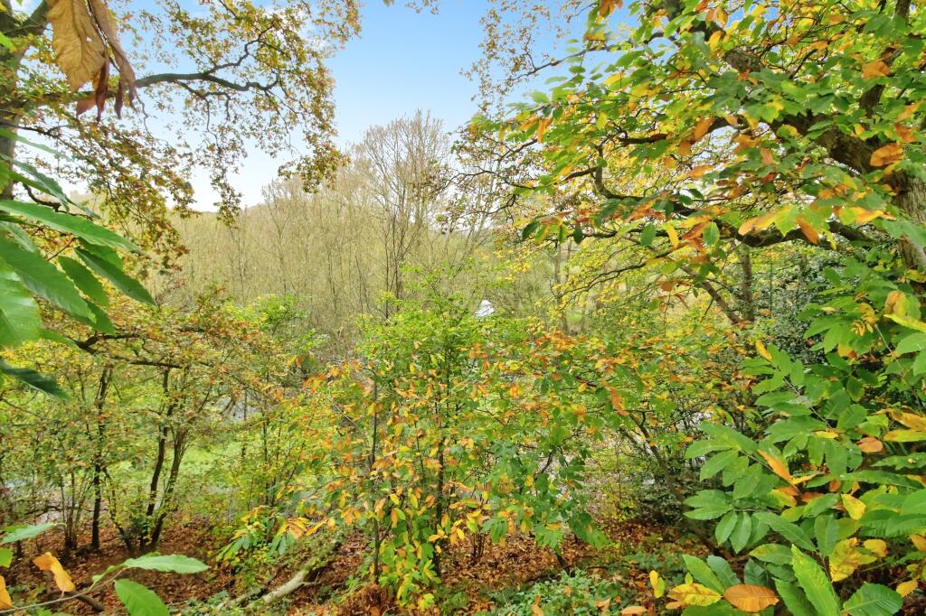 Nature Reserve View