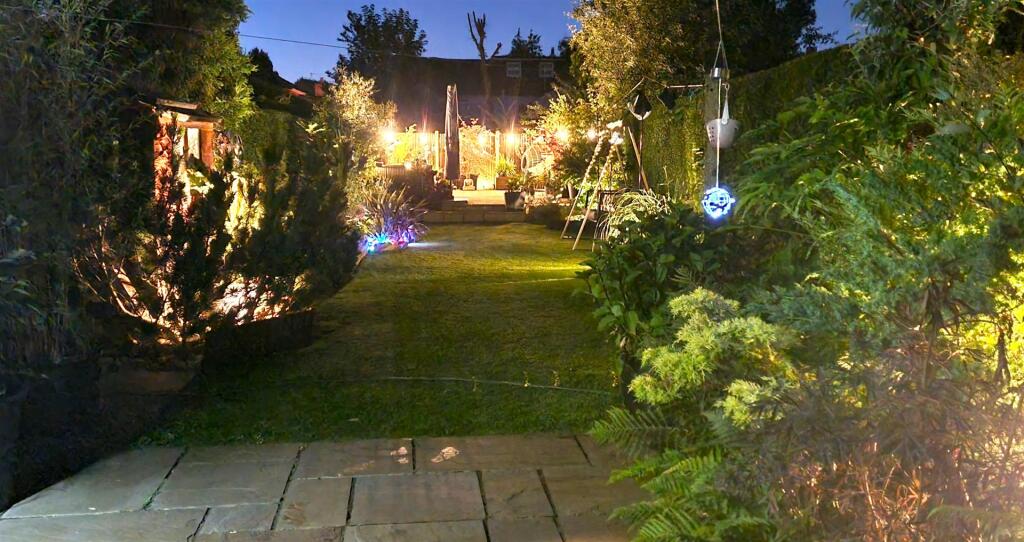 garden at night