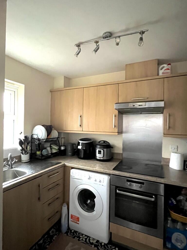 image1 (4)