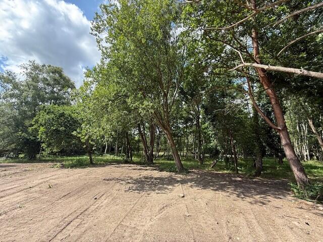 Z1 T202507081235.jpg