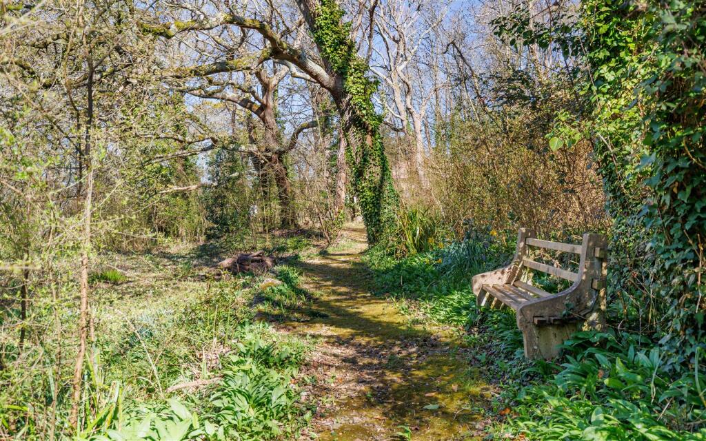 Woods