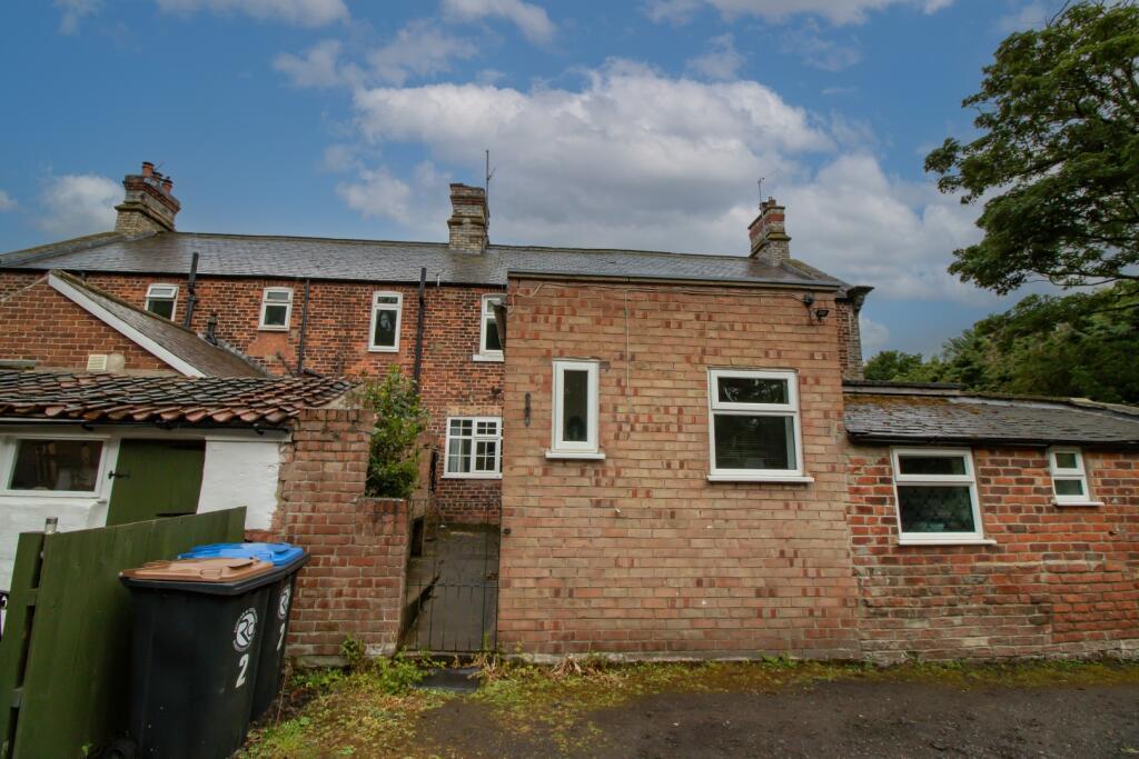 IMAGE 19