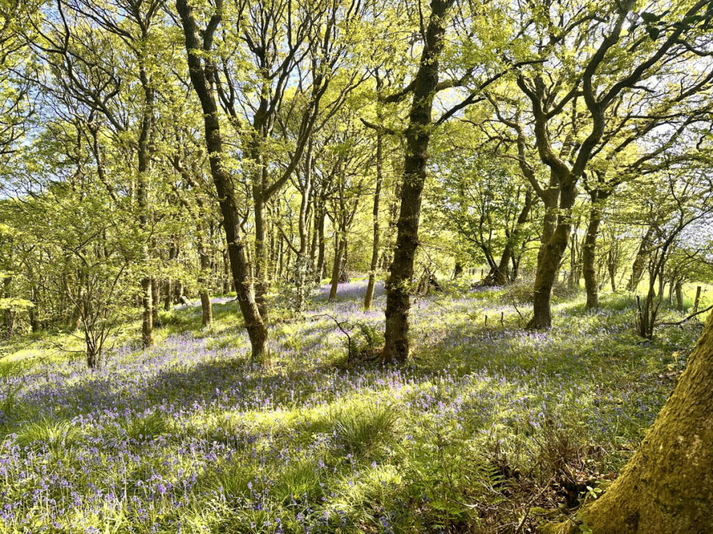 Highly Desirable Stock Farm in the Teme Valley