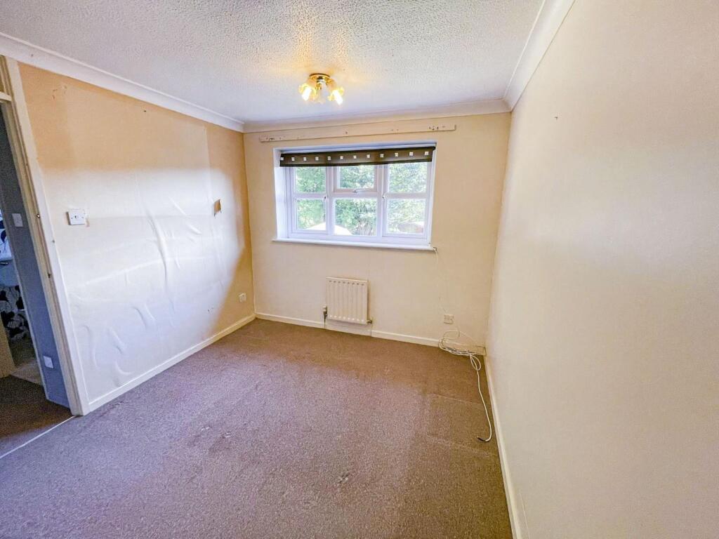 tlc_7d9509ef-9afe-417a-9320-53852157bf0d_977bf64.j