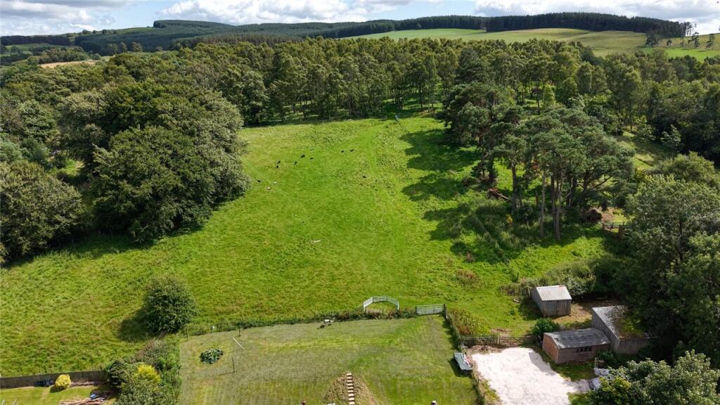 Grazing Land